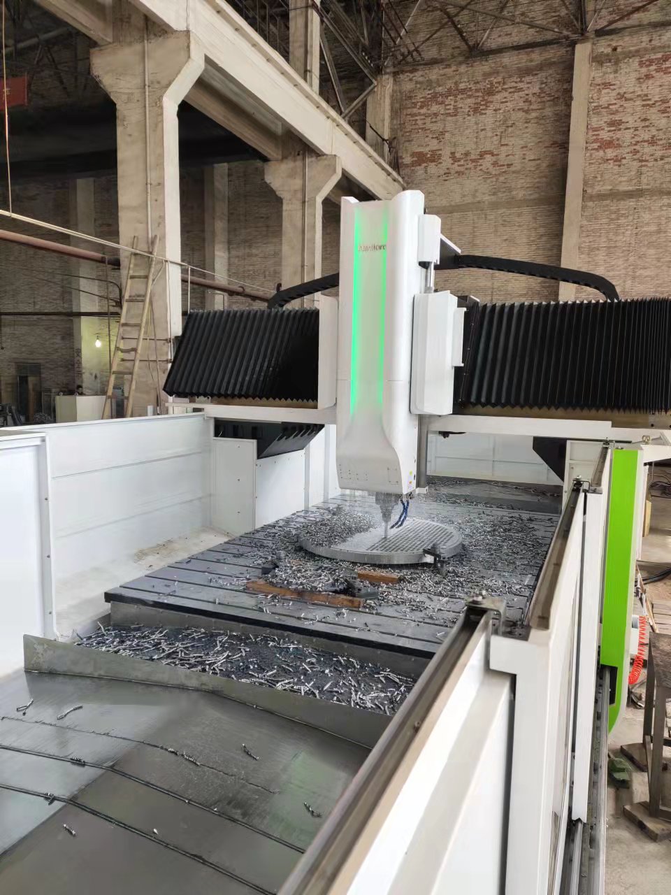 sw (1).jpg sw (1).jpg